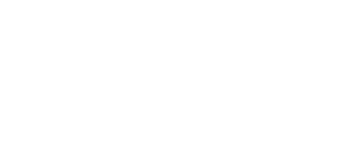 Budget International